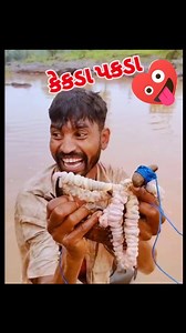 Kekda pakda | RT Dangi Comedy