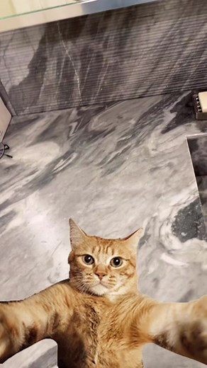 Understanding the Characters in Cobra Kai