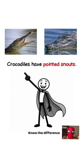 Crocodile vs Alligator: Spot The Difference! #shorts