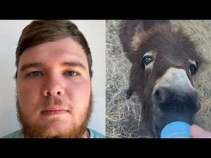 Officer reveals why he shot, killed family’s miniature donkey ‘HeeHaw’ | WSB-TV