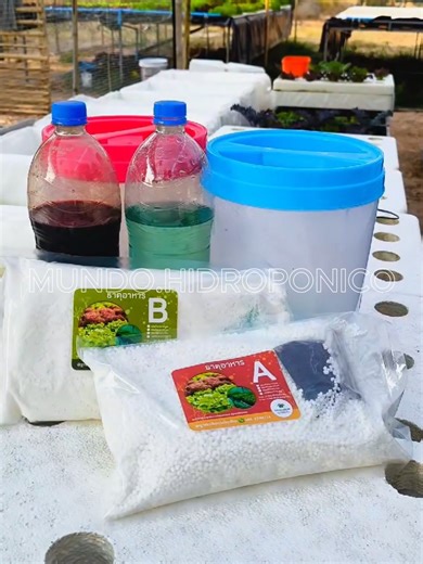 Aprende a cultivar tus alimentos 🍅🥬 en tu propia huerta hidropónica en casa #huertoshidroponicos #huertourbano #agriculturaorgánica #hidroponialatinoamerica #hidroponia #Hidroponía