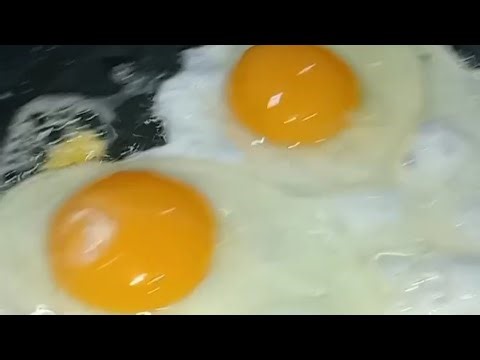 live update the kinds short egg 🍳