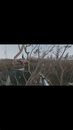 Hid from boars in the bushes... Huge mistake | STALKER: Raid into Darkness #stalker #stalker #gri...