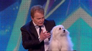 Découvrez l'incroyable prestation de Marc Métral à Britain's Got Talent avec son chien Wendy.. Un chien, qui parle ! | Fréquence 3