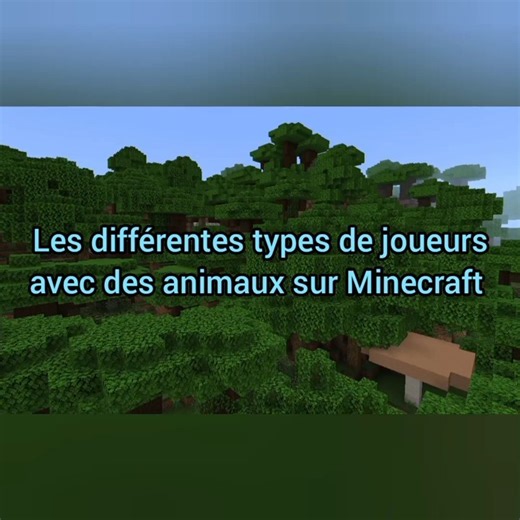 Les différentes types de joueurs avedes animaux sur Minecraft//#minecraft//#minecraftshort