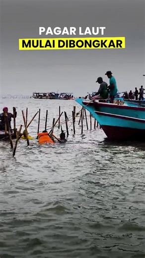 Video Momen TNI AL-Warga Bongkar Pagar Laut di Kabupaten Tangerang