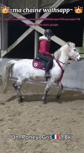 Lien en description copier et coller dans google