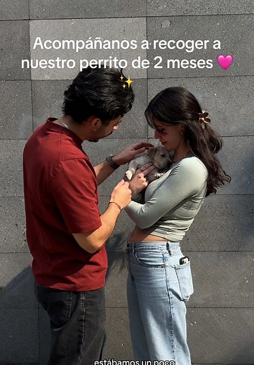 La historia de nuestra perrita adorable de 2 meses