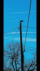 Passerby - Silver Streets. Silver City, NM. . . . . . #onfoot #silvercitynm #uniquefinds #Downtown #raven #NewMexico #gilanationalforest #walking #theviewfromhere #fallvibes | The Mimbres Kokopelli