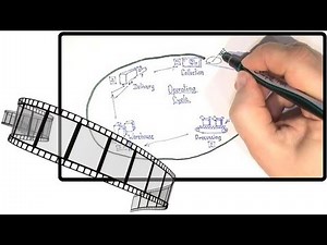 Working Capital definition - management approach