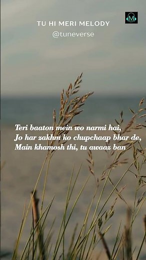 Tu Hi Meri Melody | Ed Sheeran & Shreya Ghoshal | English Hindi Romantic Duet | Tune Verse