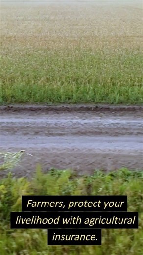 Agricultural Insurance A Farmer_s Guide to Protection