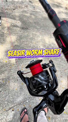 Exploring the Seasir Worm Sharf Fishing Technique