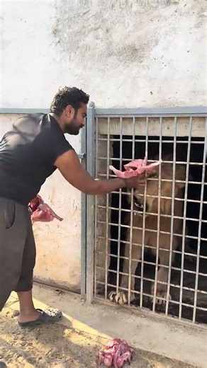 #citation #technologia# motivation