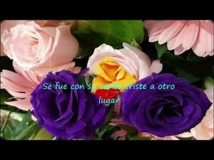 La Paloma - Julio Iglesias / lyrics