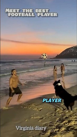 This dog plays football better than most players || Dog With Football Skills Shocks Everyone