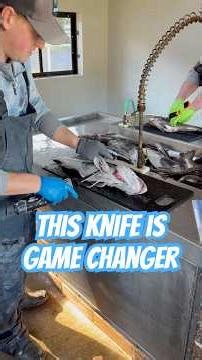 Filleting A Lingcod With Electric Fillet Knife!! #bottomfishing #lingcod #oregon