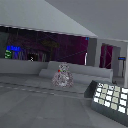 Join the Fun: Outdoor Water Tag Game Experience