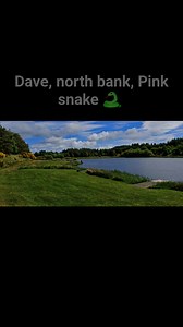 4.4K views · 83 reactions | Dave skillfully plays and nets a beautiful fish while using midge tip and a Pink snake  | Ledyatt Trout Fishery | Facebook