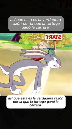 Creator Search Insights on Cartoon and Anime Trends