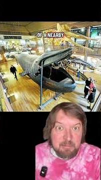 The malm whale!