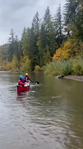 Our canoe instructor, Nathan, took students out on the Clackamas River for our Canoeing River Currents class. Despite the rain, our students put their skills to the test—practicing eddy turns, ferries, and navigating rapids with confidence and teamwork. Want to join the fun? Check out all our classes, including kayaking, sea kayaking, whitewater kayaking, canoeing, and wildlife tours. Need gear? We’re fully stocked with everything you need to get out on the water. Visit our website or stop by ou