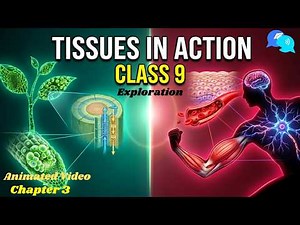 Tissues in Action Class 9 || Animated Video || Tissues In Action Exploration Chapter 3