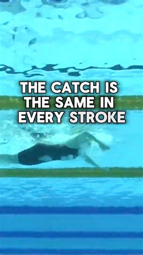 Andrew Sheaff | The same basic skill set is used to create propulsion with the arms in every stroke. Swimmers get their forearm facing backward, and they... | Instagram