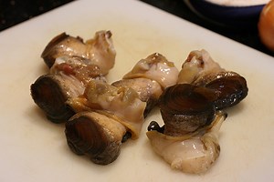 Can you eat conch raw? [2025] | QAQooking.wiki