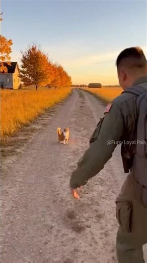 😺 🐈 Touching Reunion! Cat hugs Soldier! #cat