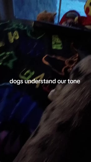 the man in the suit (@hawkit__)’s videos with original sound - the man in the suit