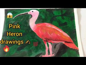 How To draw Scarlet Ibis birds ||😱step by stape tutorial!! easy draw watercolor .