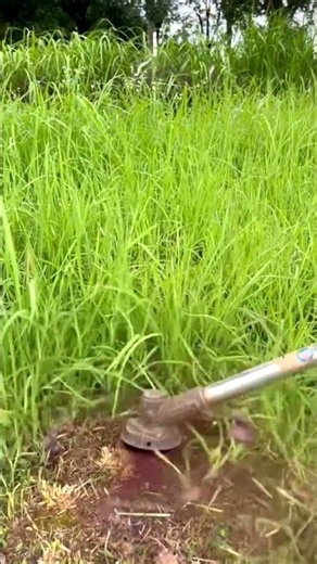 This Trimmer Blade Cuts Through Grass Like Butter! 😮🌾