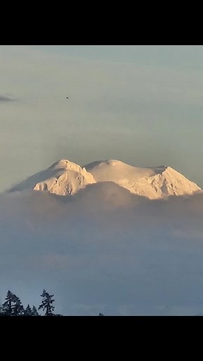 Mt raineer | John Bryson