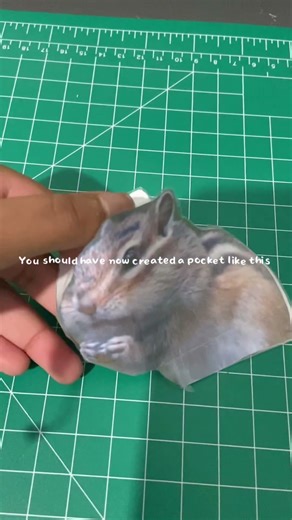 How to make a squishy? (Tutorial)#chipmunk #diy #tutorial