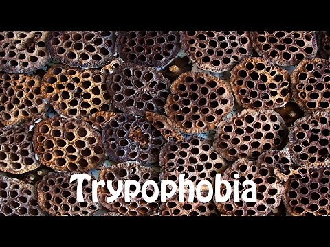 How to Pronounce Trypophobia