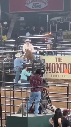 Potter got the call for The Hondo Rodeo Fest and he delivered, adding $19,000 to his LTE! We’re so excited for Cory and Erich, this is a great start to their season. MP Dineros Woodpatch PC Frenchmans Hayday x MP Rosewood @highpointbarrelhorses @erichrogers #mpdineroswoodpatch #quarterhorse #stallion #performancehorse | MP Dineros Woodpatch