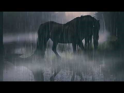 Kelpie sound effects