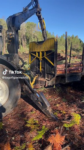 Tiago Figueiredo on TikTok