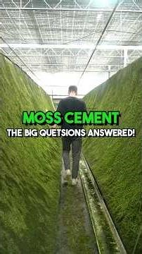 Moss Cement questions ANSWERED! #mosscement #sustainability