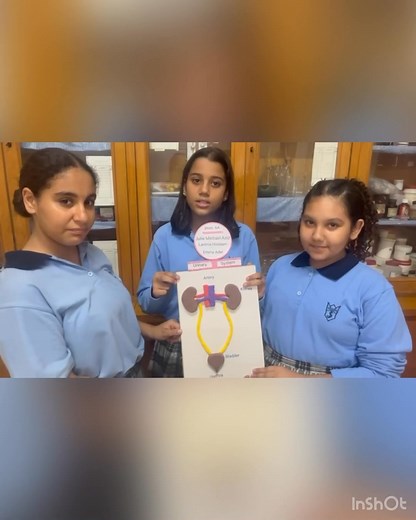 🌷🌷Sixth primary Science activity Urinary system🌟🌟 Thanks Mrs/ Engy | مدرسة القديس يوسف لراهبات قلب يسوع المصريات بمصر الجديدة