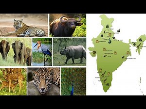 Top 10 National Park In India | भारत का 10 राष्ट्रीय उद्यान