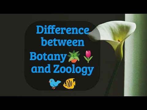 Difference between Botany🪴🌷 and Zoology🐦🐠. || Definition of Botany and Zoology.