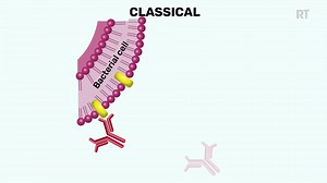 3.8K views | It’s become extremely important for #retinalspecialists...