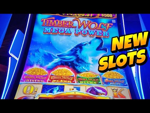🚨🚨 Playing hot NEW SLOTS! #slot #slotscasinogames #gamblinggame #casino