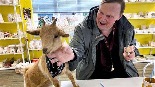 People flock to goat painting classes, selling out for 7 straight years