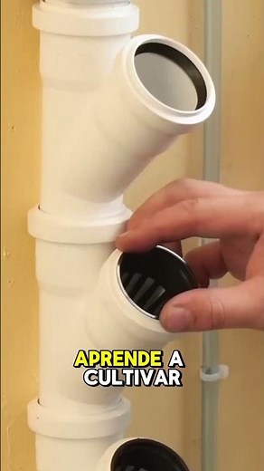 Haz tu propio sistema hidropónico vertical 💧🌱