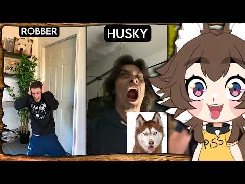 My neighbors think I'm insane after this... 🤯 | VTuber Reacts to Jonny Devaney Dogs Vs Robbers