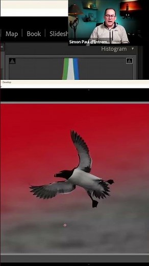 Lightroom Trick Easy Background Editing for Stunning Photos!