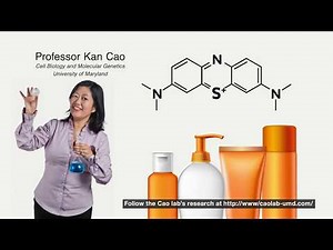 Methylene blue, a common antioxidant, could reverse signs of aging in human skin